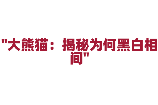 "大熊猫：揭秘为何黑白相间"